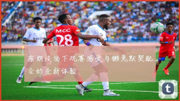 布朗谈场下观赛感受与獭兔默契配合的全新体验