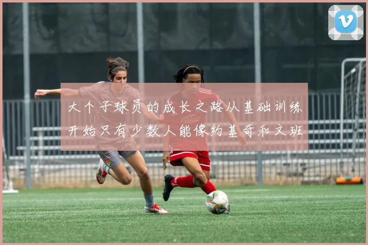 大个子球员的成长之路从基础训练开始只有少数人能像约基奇和文班那样成功